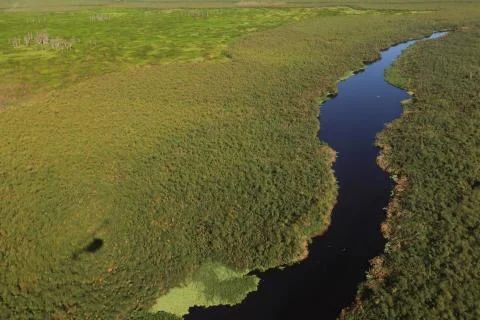 Top view of a thin river and fields around it Stock Photos