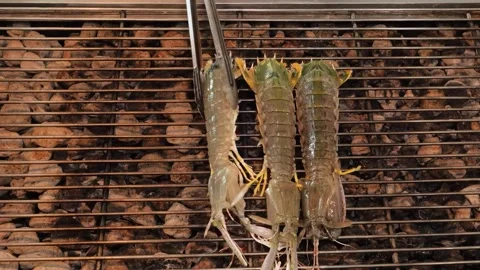 Top view of three fresh mantis shrimps grilling on an open fire outdoor barbecue Видео 344221995