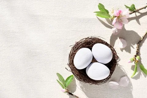 Top view of three light blue easter eggs in the nest with pink flowers on l.. Stock Photos