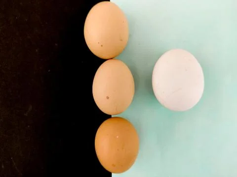 Top view of three raw brown eggs arranged in a line with one white egg placed Stock Photos