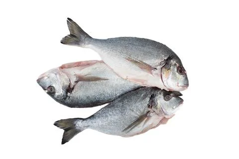 Top view of three raw scrubbed fish ready to cook on white background. Stock Photos