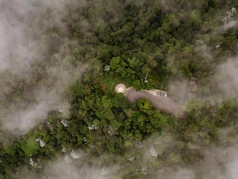 Top view through clouds on green forest and road. Stock Photos