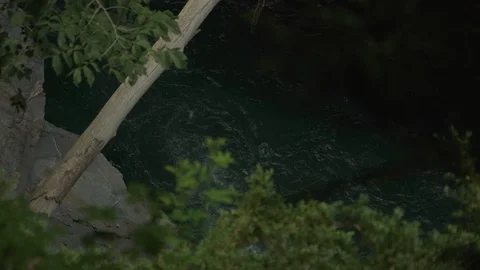 Top view through the leaves of a flowing river, Cauterets, France Stock Footage 103702206