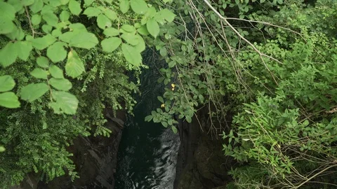 Top view through the leaves of a flowing river, Cauterets, France Stock-Footage 103702633