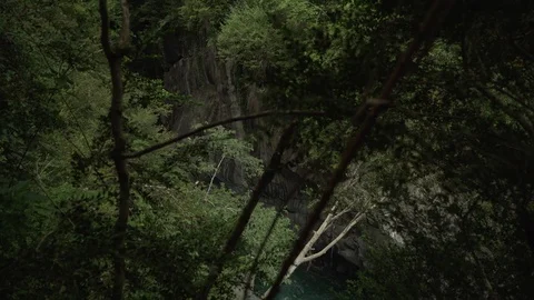 Top view through the leaves of a gorges with a river, Cauterets, France Stock Footage 103702366