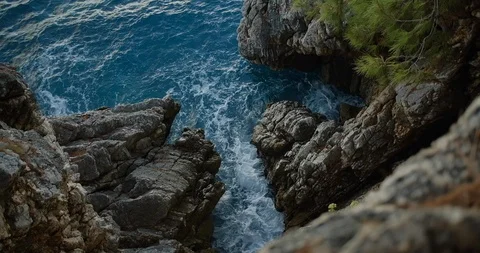 Top View through pine trees to the sea and rocks in Montenegro Stock Footage 126776921