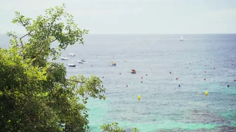 Top view through the trees of a beautiful transparent sea. Boat parking in the Video stock 132968409