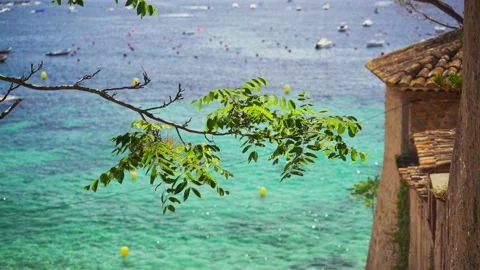 Top view through the trees of a beautiful transparent sea. Boat parking in the Video stock 132968502