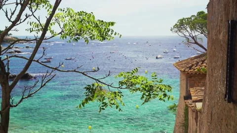 Top view through the trees of a beautiful transparent sea. Boat parking in the Video stock 133327650