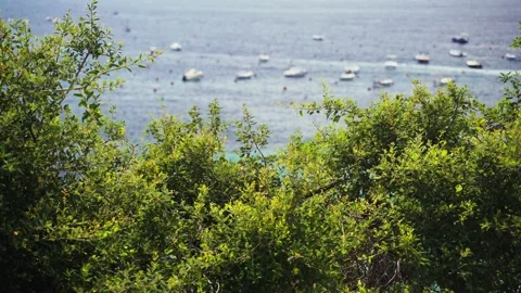 Top view through the trees of a beautiful transparent sea. Boat parking in the Stockbeeldmateriaal 133327958