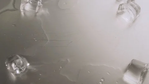 Top view of tiger prawns fall on table with ice. Seafood, Fresh Shrimp Stock Footage 114546581