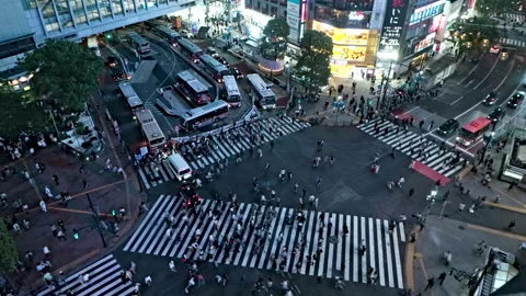 Top view Timelapse of Crowd people pedestrians walking across zebra crosswalk Video stock 187738581