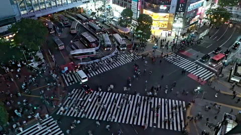  Top view Timelapse of Crowd people pedestrians walking across zebra crosswalk i Stock Footage 187739319