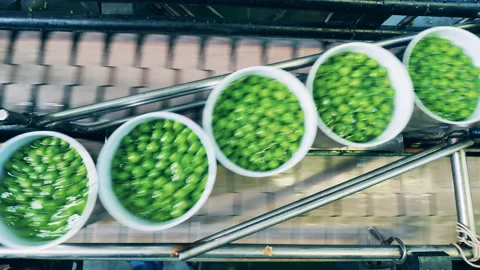 Top view of tin cans with green peas on the conveyor belt Stock-Footage 148824537