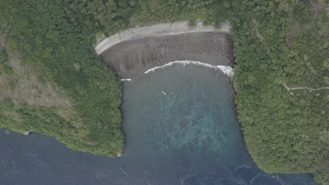 Top view of tourist boat docking in the private island  Video stock 113118570