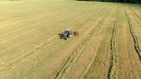 Top view of a tractor raking hay in rows with a disc rake. Aerial view Stock Footage 137556919