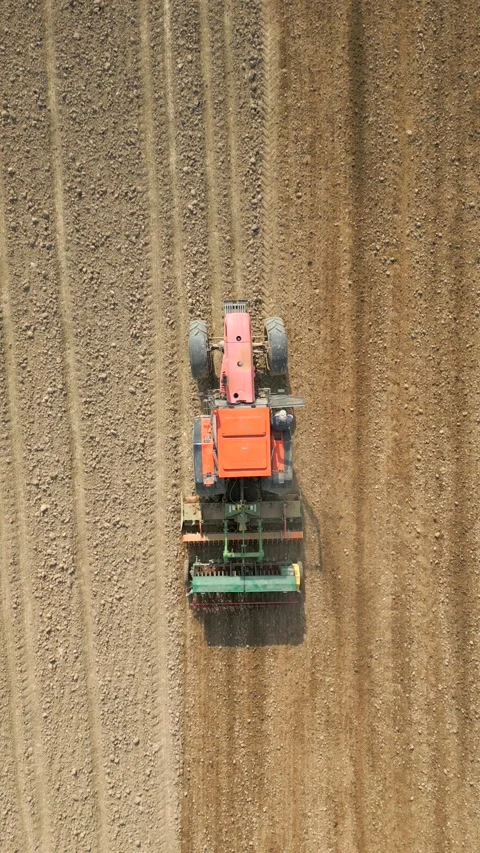 Top view of tractor sowing grain in the farm field. Video stock 273740611
