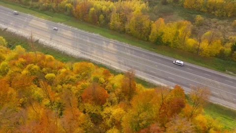 Top view of traffic on a highway surrounded by bright autumn forest. Stock Footage 139155851