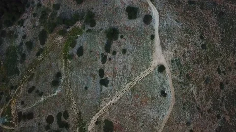 Top view of the trail in the mountains Stock Footage 239656627