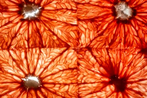 Top view of transparency square slices of fresh citrus fruits grapefruit Stock Photos