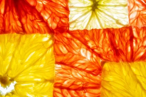 Top view of transparency square slices of fresh citrus fruits grapefruit lemon Stock Photos