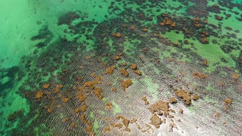 Top view transparent turquoise ocean water surface. Stock Footage 233306067