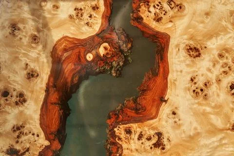 Top view of a tree as a background with space to copy. Wooden table covered with Stock-Fotos