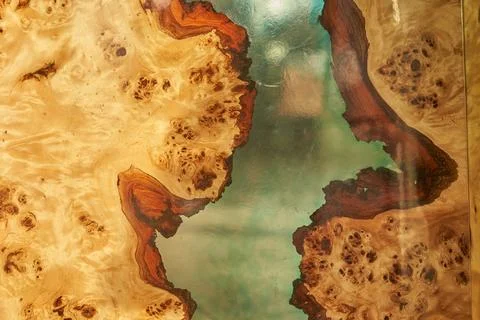 Top view of a tree as a background with space to copy. A wooden table covered Fotos de archivo