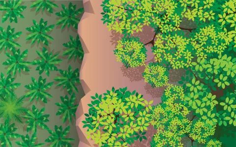 Top view tree on the cliff in the forest Stock Illustration