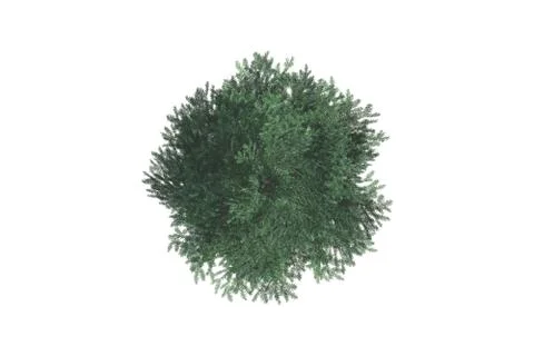 Top view of tree Illustrazione stock