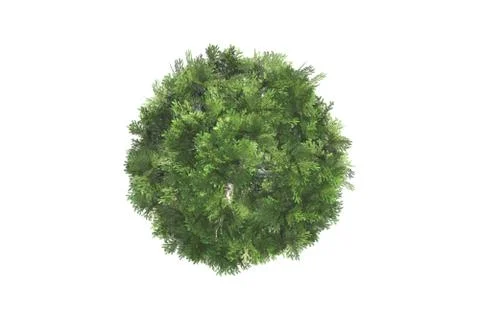 Top view of tree Stock Illustration