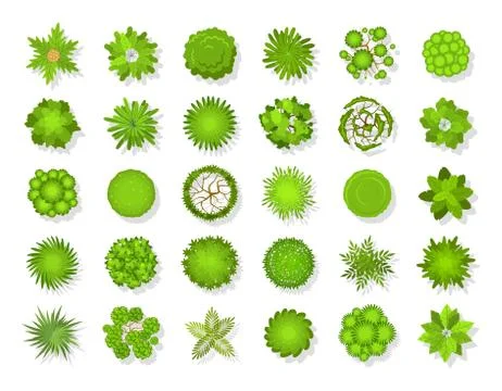 Top view tree landscape. Plants and trees icons, summer green planting organic Stock Illustration