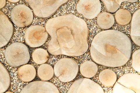 Top view of tree stump with pebble stone walkway Stock Photos