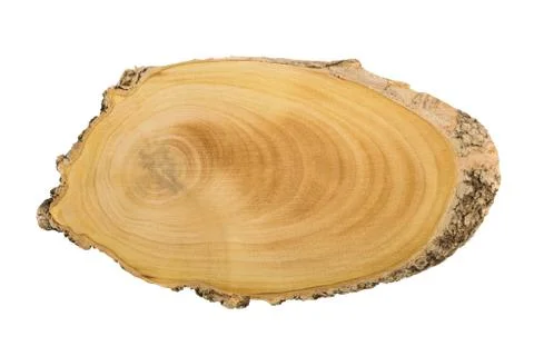 Top view of a tree stump Stock Photos