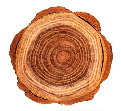 Top view of a tree stump Stock Photos