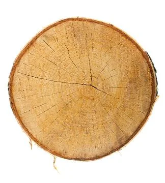 Top view of a tree stump Stock Photos