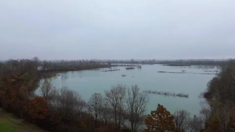 Top view of the trees and the autumn lake Vidéo 294999810