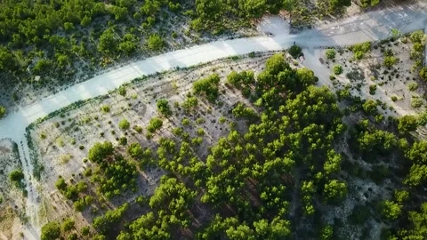 Top view of trees and road Stock Footage 239656966