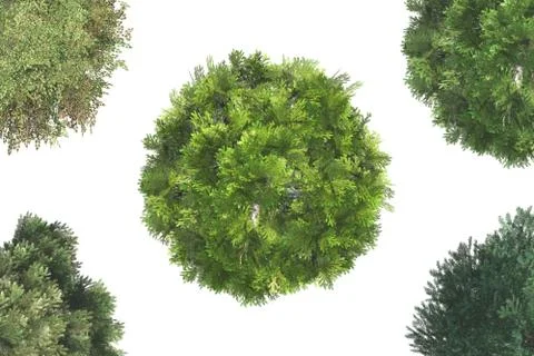 Top view of trees Illustrazione stock