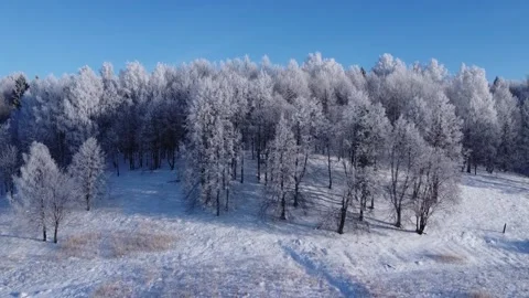 Top view of the trees in the snow and others. Stock Footage 145273279