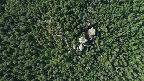 Top view of the trees where the passage of stones Stock Footage 120241728