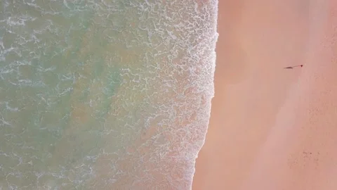 Top view of tropical beach Stock Footage 161539184