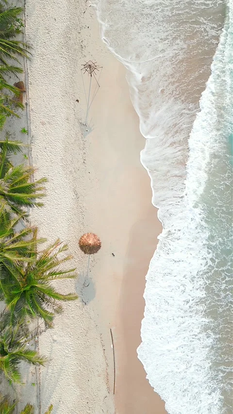 Top view of tropical beach. Stock Footage 247966858