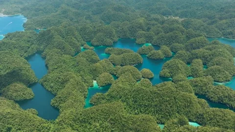 Top view of Tropical Island. Stock Footage 246048568