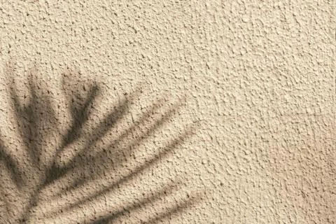 Top view of tropical leaf shadow on sand creme background. Flat lay. Minimal Stock Photos