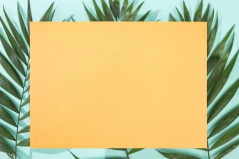 Top view tropical leaves empty Stock Photos