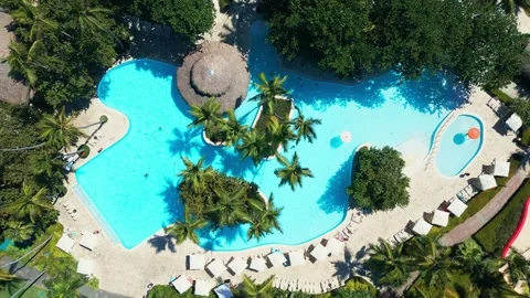 Top view of tropical Resort Pool with Palm Trees - Impressive Punta Cana Stock Footage 309025730