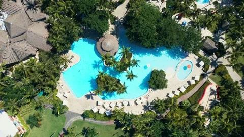 Top view of tropical Resort Pool with Palm Trees - Impressive Punta Cana Stock Footage 309025921