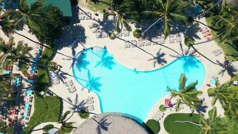 Top view of tropical Resort Pool with Palm Trees - Impressive Punta Cana Video stock 309026072