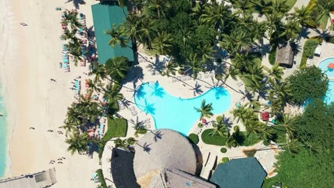 Top view of tropical Resort Pool with Palm Trees - Impressive Punta Cana Stock Footage 309026111
